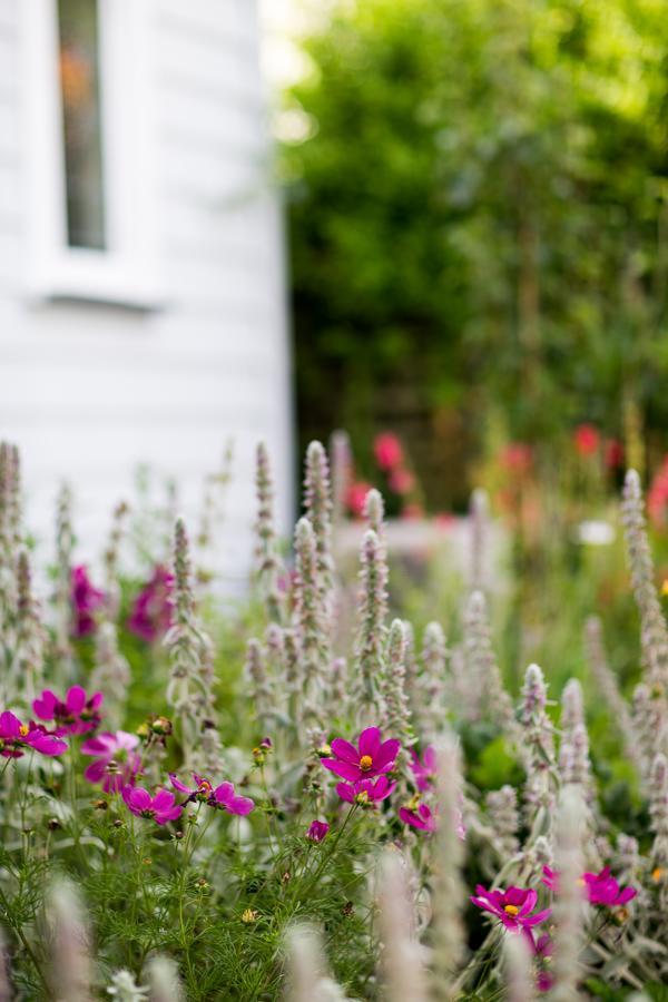 Coghill Cottage Whitianga Ngoại thất bức ảnh